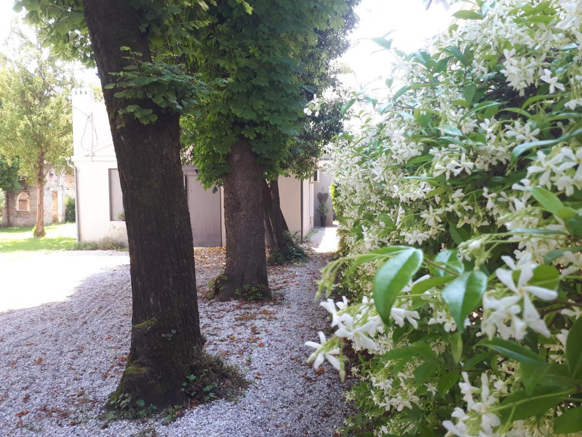 Villa Fiorentino Padova Exterior foto